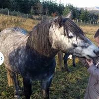 Heidi Schofield Photo 4