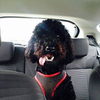 Tanya Burton Photo 35