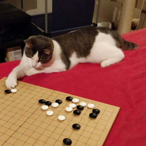 Michael Liang Photo 33