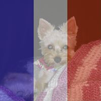 Barbara Lindsey Photo 38