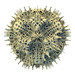 Michael Ernst Photo 9