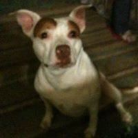 Marsha Pauley Photo 4