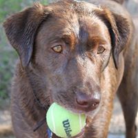 Molly Benjamin Photo 9