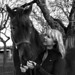 Juliet Winter Photo 6