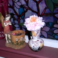 Belinda Wood Photo 17