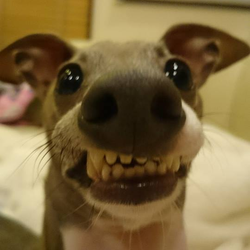 Martin Morrow Photo 32