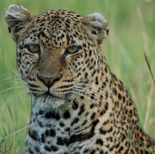 Hector Sepulveda Photo 39 Hector Sepulveda Photo 39