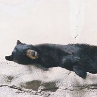 Paula Sadler Photo 15