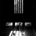 Mark Tate Photo 33