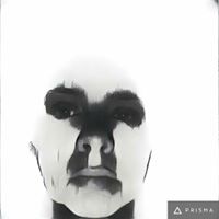 Carla Shepherd Photo 35