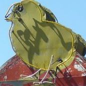 Julie Ziegler Photo 35