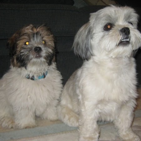 Steven Davidson Photo 13