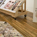 Joseph Cooley Photo 33