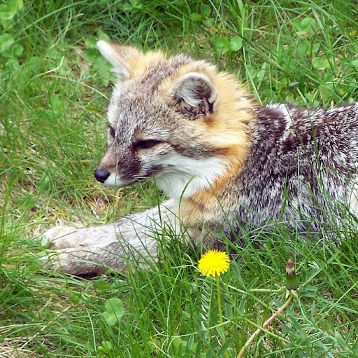 Tammy Schmidt Photo 15