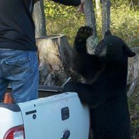 Samuel Blair Photo 17