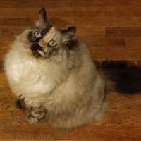 Grace Richards Photo 26