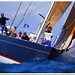 Chris Schulz Photo 21