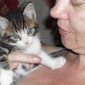 Karen Plageman Photo 3