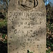 Elizabeth Williamson Photo 28