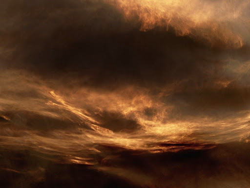 Michelle Heins Photo 19