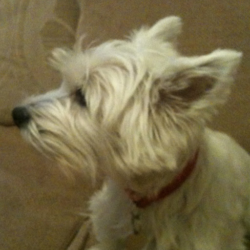 Katharine Carter Photo 16