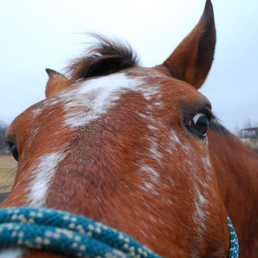 Jill Mayfield Photo 16