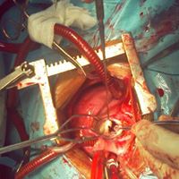 Stephen Doss Photo 26