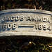 Douglas Groves Photo 11