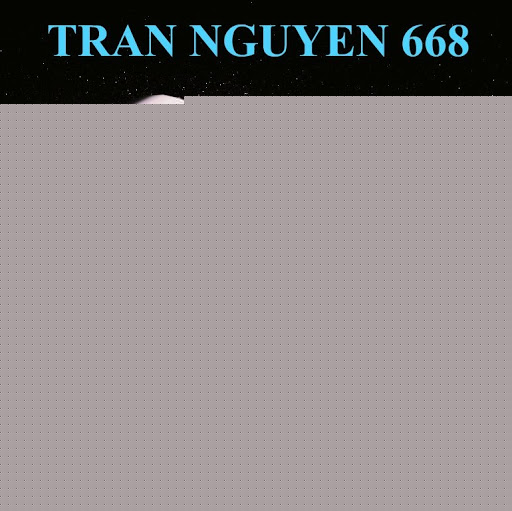 Nguyen Tran Photo 15