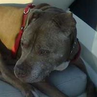 Jennifer Donley Photo 7