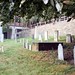 Samuel Randolph Photo 27