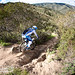 Marc Aiello Photo 17