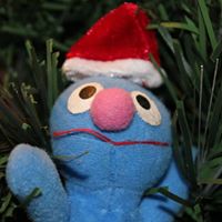 Joshua Newsom Photo 28