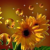 Joy Carpenter Photo 12