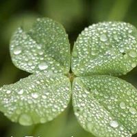 Kathy Cline Photo 40