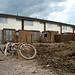Robin Groves Photo 33