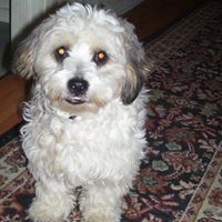 Gail Robertson Photo 19