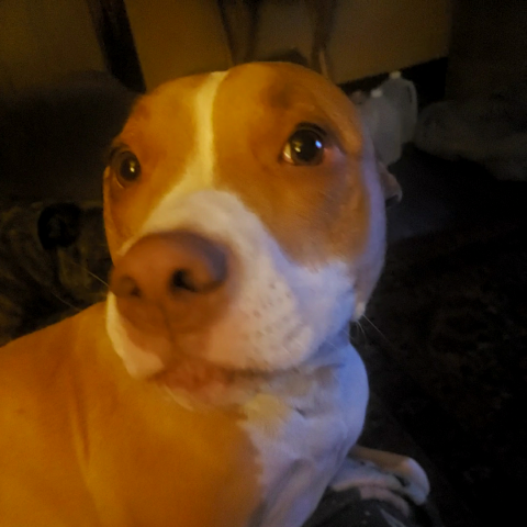 Sarah Linville Photo 11