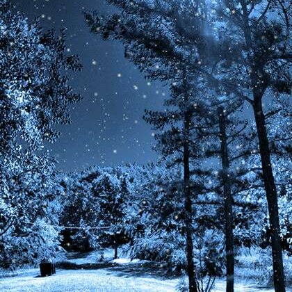 Rachel Ford Photo 35