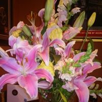 Kathy Sheppard Photo 45