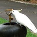 Don Parrott Photo 11