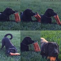 Jennifer Spriggs Photo 18