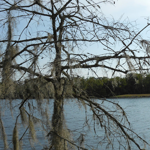 Judy Stapleton Photo 8