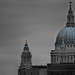 Paul Bianco Photo 39