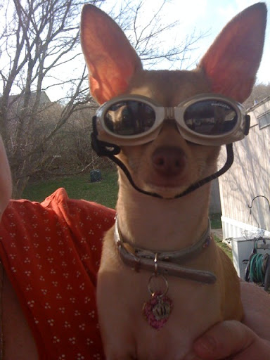 Angela Albright Photo 12