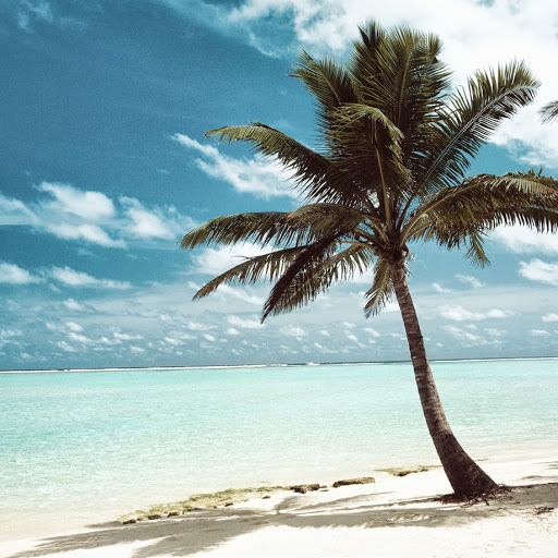 Robin Monroe Photo 40 Robin Monroe Photo 40