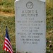 Roy Ziegler Photo 11