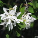 Catherine Berry Photo 26