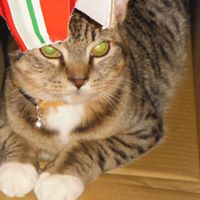 Debra Garner Photo 11