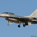 Amelia Falcon Photo 4